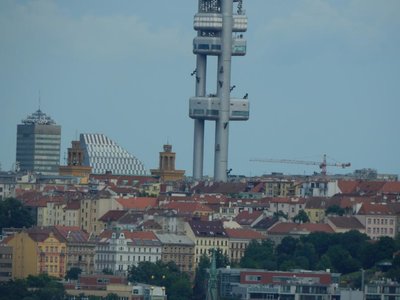 Obrázek 67210 