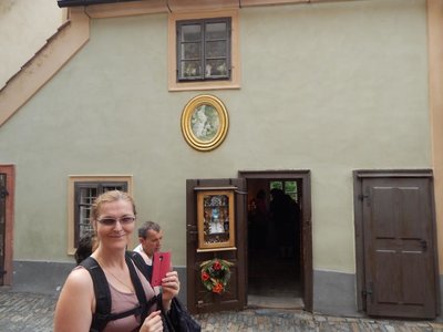 Obrázek 67213 