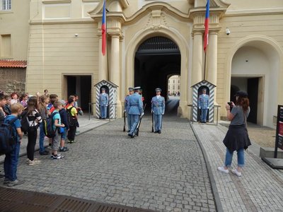 Obrázek 67218 