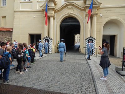 Obrázek 67219 