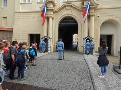 Obrázek 67220 