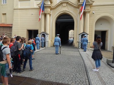 Obrázek 67221 