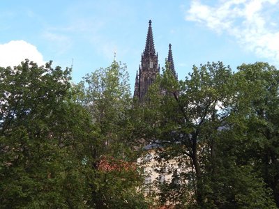 Obrázek 67225 