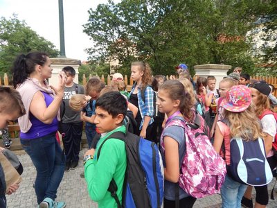 Obrázek 67226 