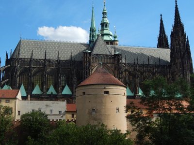 Obrázek 67229 