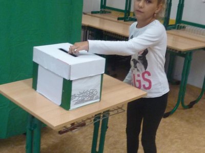 Obrázek 66323 