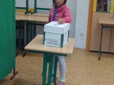 Obrázek 66330 