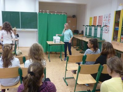 Obrázek 66333 