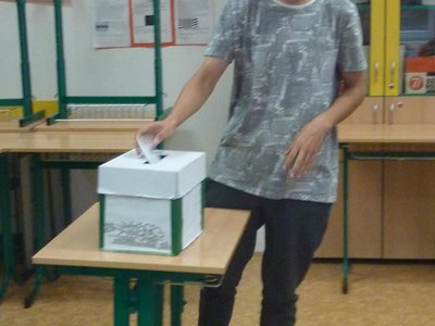 Obrázek 66350 