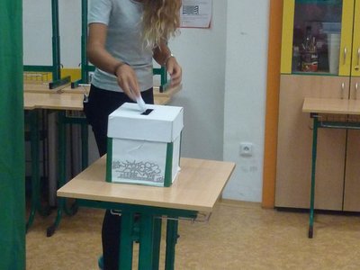 Obrázek 66353 