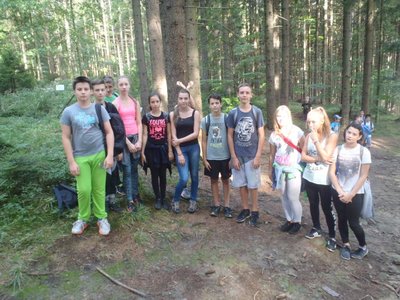 Obrázek 66272 