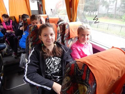 Obrázek 66113 