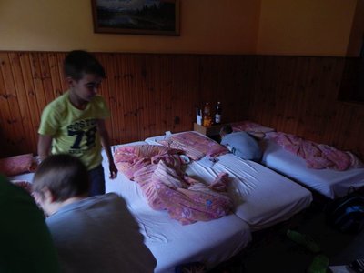 Obrázek 66162 