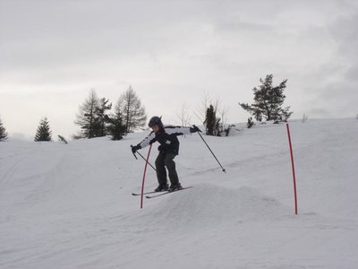 Obrázek 121140 