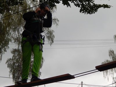 Obrázek 65916 