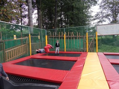 Obrázek 65928 