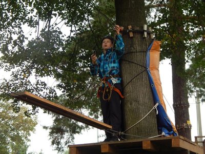 Obrázek 65958 