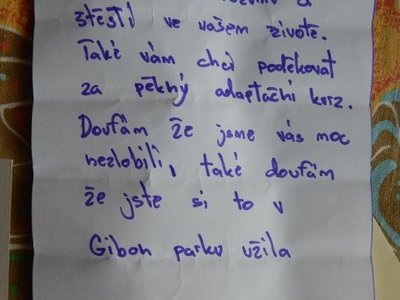 Obrázek 65827 