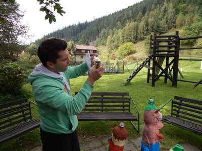 Obrázek 65836 