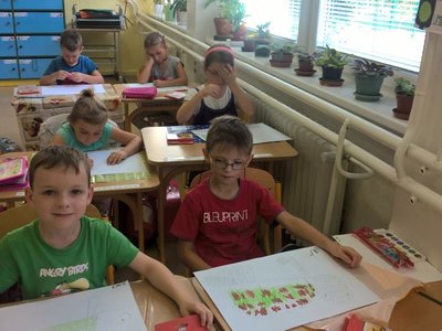 Obrázek 65790 