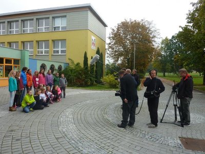 Obrázek 65511 