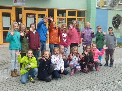 Obrázek 65513 