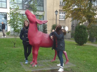 Obrázek 65327 