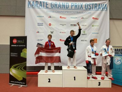 Obrázek 64792 