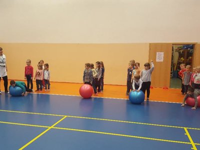 Obrázek 64446 