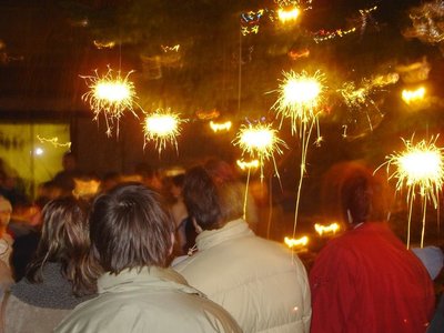 Obrázek 121335 