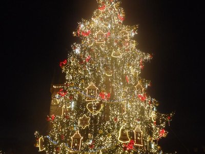 Obrázek 64017 
