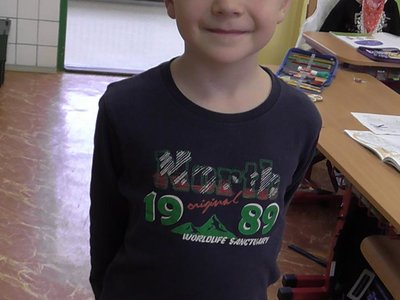 Obrázek 64279 
