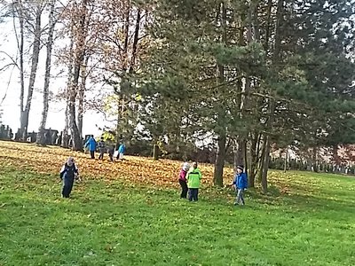 Obrázek 64707 