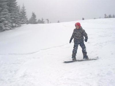 Obrázek 63373 