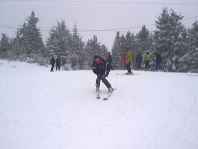 Obrázek 63374 