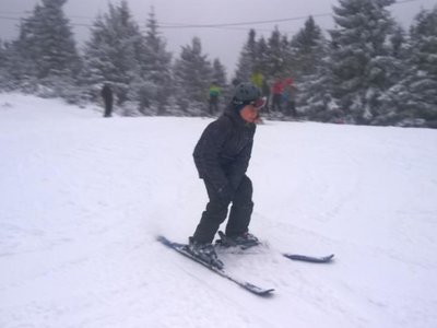 Obrázek 63375 