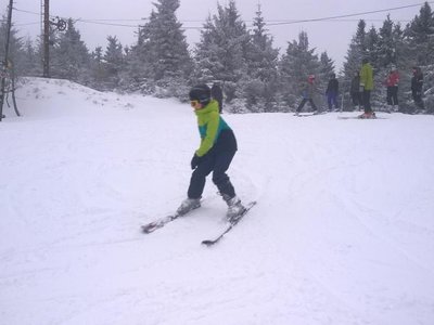 Obrázek 63376 