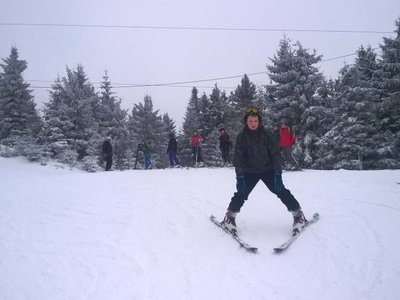 Obrázek 63377 