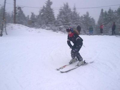 Obrázek 63378 