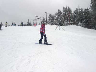 Obrázek 63335 