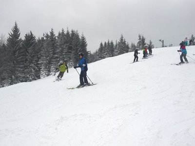 Obrázek 63336 