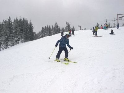 Obrázek 63337 