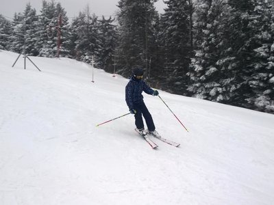 Obrázek 63338 