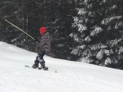 Obrázek 63340 