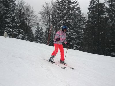 Obrázek 63341 