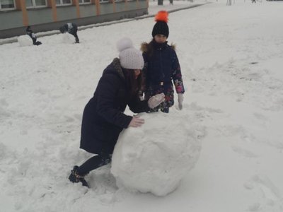 Obrázek 62434 