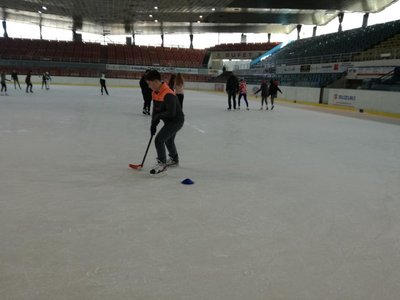 Obrázek 62066 