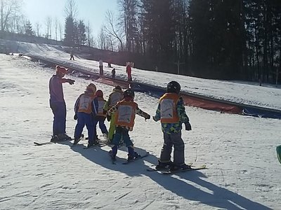 Obrázek 62102 