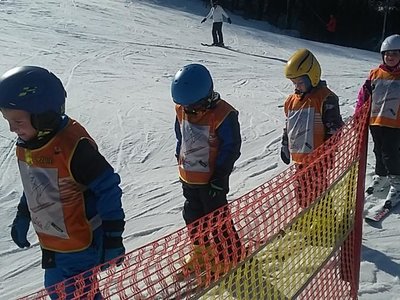 Obrázek 62107 