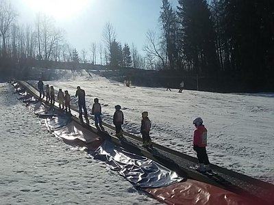 Obrázek 62118 